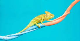 Come diventare pi&ugrave; adattabili in situazioni difficili