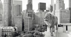 Come sta evolvendo il ruolo dei Chief Sustainability Officer