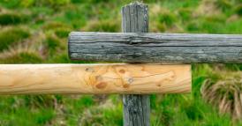 Come coinvolgere una forza lavoro multigenerazionale