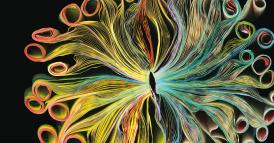 Create storie che cambiano la cultura della vostra organizzazioneusando questi sei mattoncini