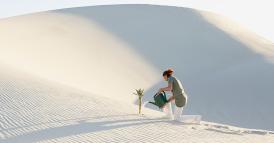 Come i leader possono creare una cultura orientata al purpose