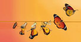 Riscrivere le regole delle trasformazioni aziendali