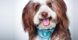 Come restare empatici nei momenti difficili