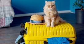 Trasferirsi all&rsquo;estero per lavoro &egrave; una mossa intelligente?