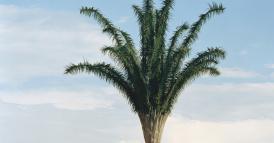 Per risolvere un problema difficile, cambiate inquadratura