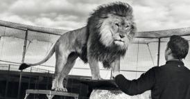 GenIA: da minaccia esistenziale a vantaggio competitivo