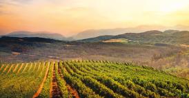 Come fare della vecchia azienda di famiglia un marchio globale