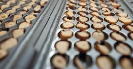 Ferrero e la sostenibilit&agrave;: il nocci&ograve;lo della questione