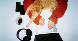 Cosa sapere quando si inizia una carriera a distanza