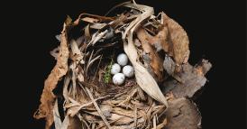 La sicurezza che traina la performance