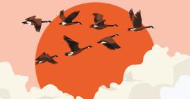 Il vostro prossimo CEO dovrebbe venire dal board?