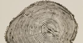 PROGETTATE PRODOTTI CHE NON DIVENTINO OBSOLETI