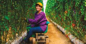 Puntare sulla risorsa-lavoro