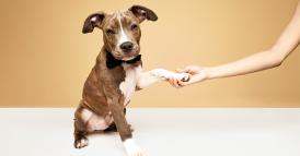 Come condurre un colloquio di lavoro senza averne l&rsquo;esperienza