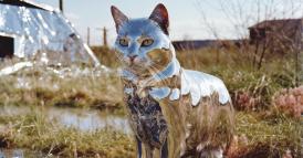 La trappola dell&rsquo;unicit&agrave;