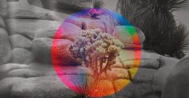 IA generativa: istruzioni per l&rsquo;uso