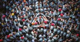 Il sorprendente successo dei leader operativi