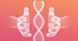 La doppia elica dell&rsquo;apprendimento