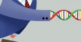 Si pu&ograve; trarre vantaggio dal nuovo prodotto di un rivale