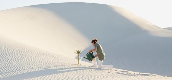 Come i leader possono creare una cultura orientata al purpose