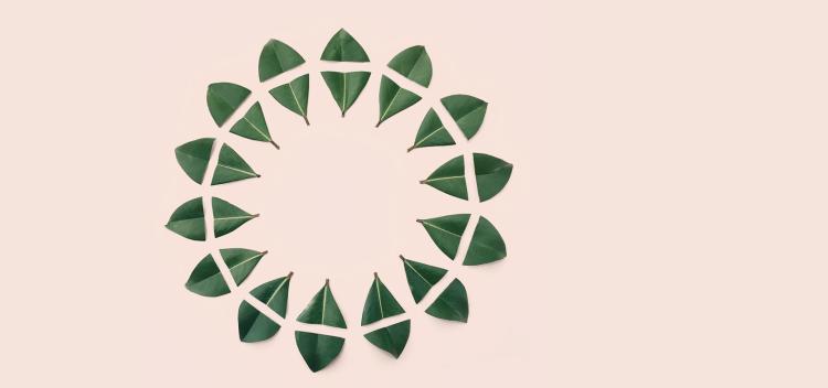 La data science e l’arte della persuasione 