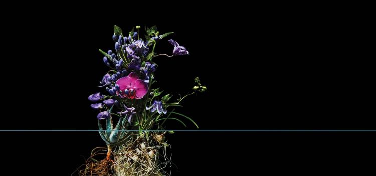 Comportamenti responsabili