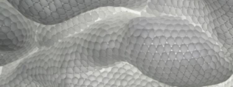 Il vantaggio transitorio