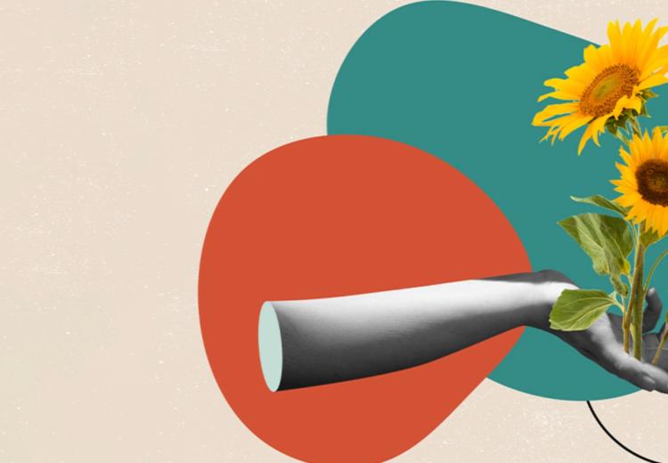 Gli 8 compiti del Chief Sustainability Officer