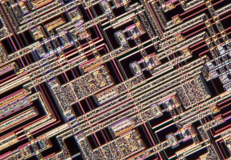 Perch&eacute; i Chief Data e AI Officer sono destinati al fallimento