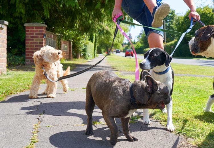Le sfide più critiche sul posto di lavoro sono di natura sistemica